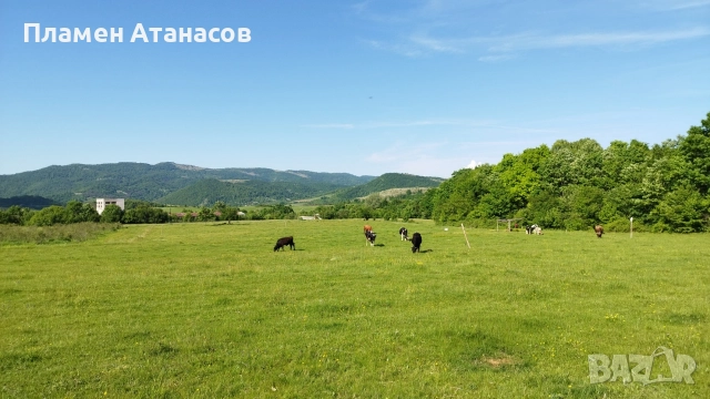 ЕЛЕНА общ. Велико Търново 8 000 кв.м. Равен парцел с лице на 3 пътя , снимка 2 - Земеделска земя - 52881114