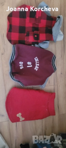 Кучешко яке 