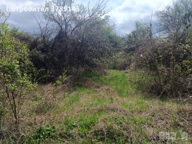 Урегулиран поземлен имот в с.Кондофрей , снимка 5 - Парцели - 52952699