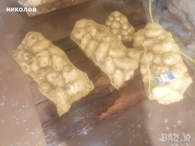 картофи за пълнене , снимка 5 - Други - 52579866