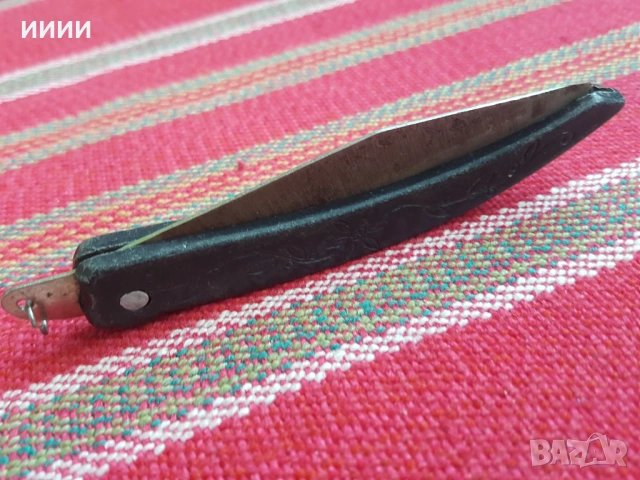 Руска ножка сойка