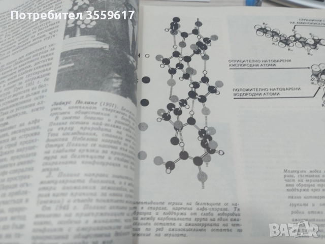 Тайните на клетката , снимка 4 - Специализирана литература - 51605130