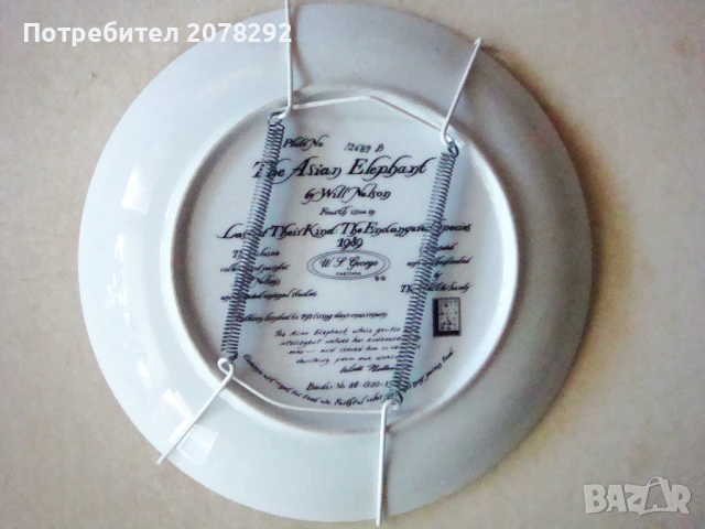 The Asian Elepfant от Will Nelson , снимка 2 - Други - 51081354