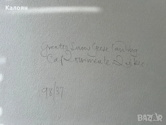 Фотография с паспарту на американския фотограф Артур Кендрик, снимка 4 - Антикварни и старинни предмети - 49977617