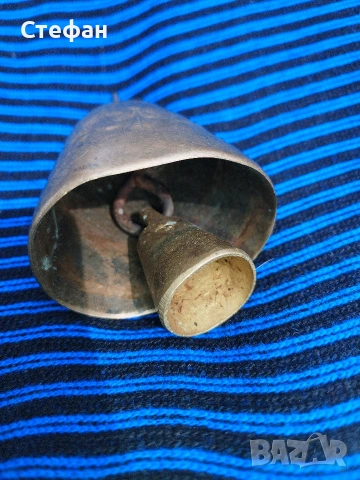 Стар родопски чан., снимка 4 - Крави - 53923482