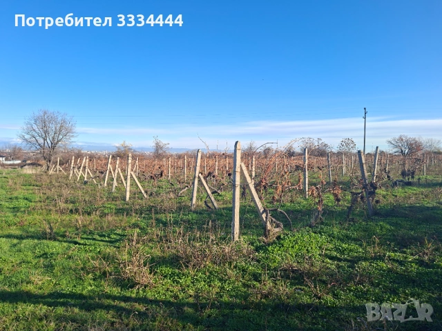 Продавам имот тип лозе, местност "Комсала", с.Марково, гр. Пловдив, снимка 4 - Земеделска земя - 53711451