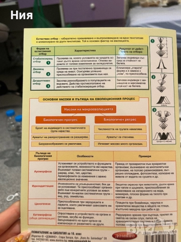 Помагалник по Биология- Домино, снимка 4 - Учебници, учебни тетрадки - 51598674
