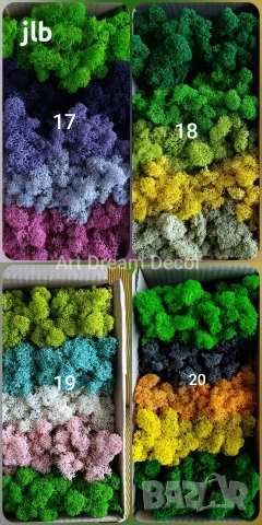 Скандинавски мъх за живи стени, пана и декорации, Премиум почистен Скандинавски мъх, снимка 10 - Декорация за дома - 36784939