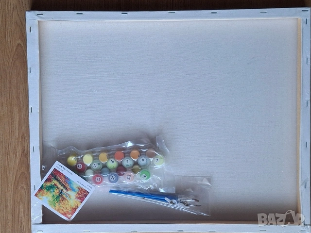 Картина за рисуване по номера, снимка 4 - Картини - 53593399