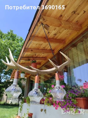 Уникален ръчно изработен полилей с рога от благороден елен с 8 разклонения и 3 красиви стъкленици , снимка 3 - Лампи за таван - 46271050
