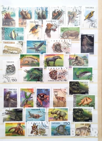 Пощенски марки/ животни/ 220 бр.  К.3, снимка 6 - Филателия - 50874591