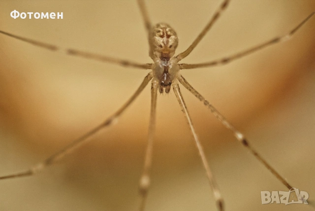 Зенит Е с Индустар 50-2, снимка 3 - Обективи и филтри - 54008887