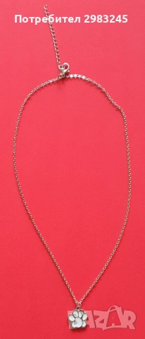 Сребристо колие с лапичка , снимка 2 - Колиета, медальони, синджири - 54021700