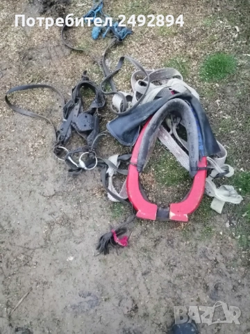 Конски хамут , снимка 12 - Други животни - 52506534