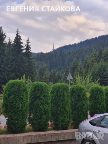 Студио"PANORAMA MOUNTAIN", до ски писта Пампорово - Стойките, снимка 10 - Стаи под наем - 48426022