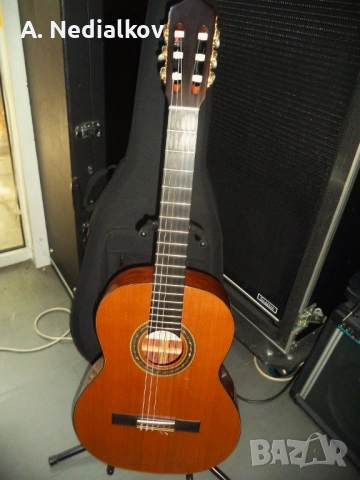 Antonio de Torres/Fandango FG classic guitar