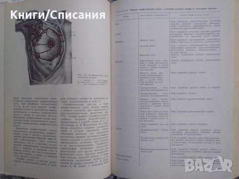 Анатомия человека. Том 1-2 (1986), снимка 2 - Енциклопедии, справочници - 45710417