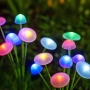 Соларна декорация "Екзотична градина": LED медузи и гъбки с преливащи цветове 4985, снимка 6