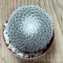 Mammillaria microthele v. superfina, снимка 2