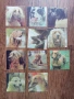 Стари календарчета, пощенски картички, жокери от карти, картинки лего, снимка 6
