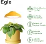 Egle Plant Lamp - LED светлина за растеж на растения на закрито НОВА, снимка 2