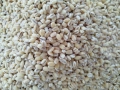 Белен ечемик ,за мелене,варене,печене ,първо качество с анализен сертификат, снимка 2