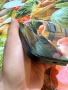 iPhone 13 128GB, снимка 8
