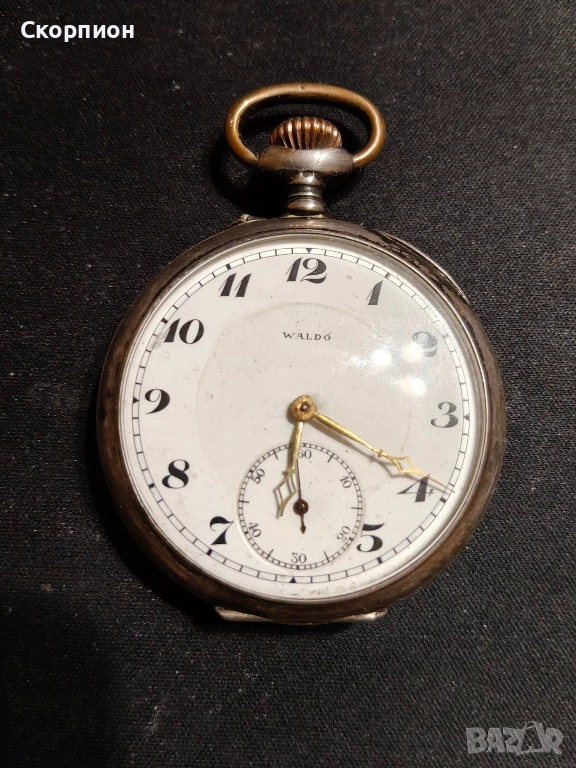 Швейцарски СРЕБЪРЕН джобен часовник - WALDO - 1901г.  - 10 РУБИНА - ПРОМОЦИЯ, снимка 1