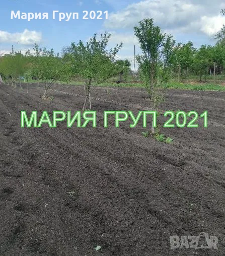 Продавам Парцел в село Малко Асеново община Димитровград!!!, снимка 1