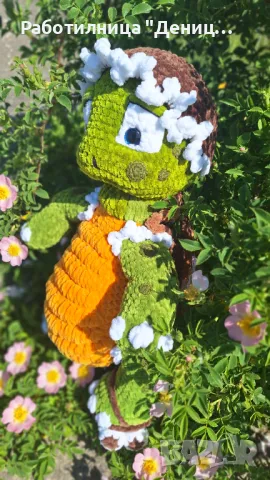 Костенурка , снимка 3 - Други - 50173845