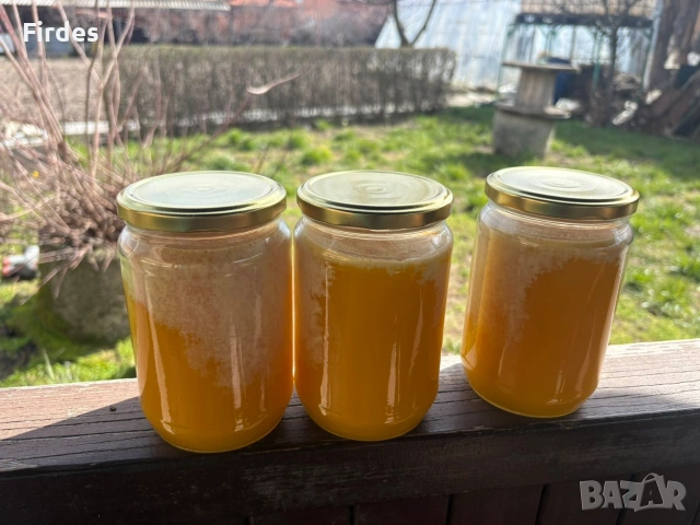 🍯 Продавам домашен пчелен мед – директно от производител! 🍯