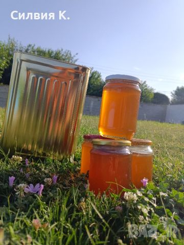 Мед, снимка 2 - Пчелни продукти - 46389554