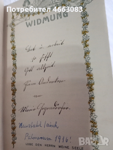 СТАРА БИБЛИЯ , снимка 2 - Антикварни и старинни предмети - 53031168