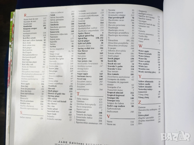 Тропически растения и плодове на островите Реюнион и Мавриций - на френски и англ., описани 212 вида, снимка 6 - Енциклопедии, справочници - 52576012