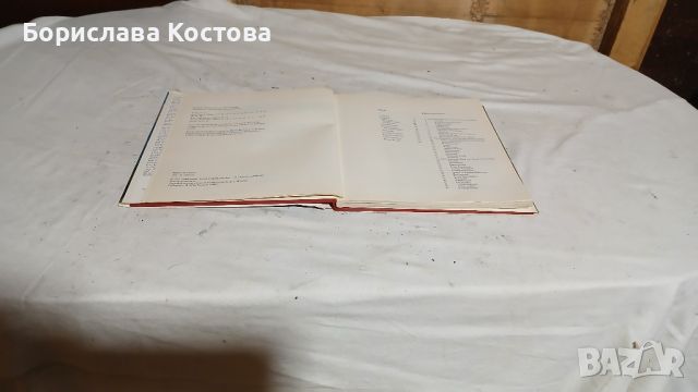 книга за замъците, снимка 9 - Други - 46764950