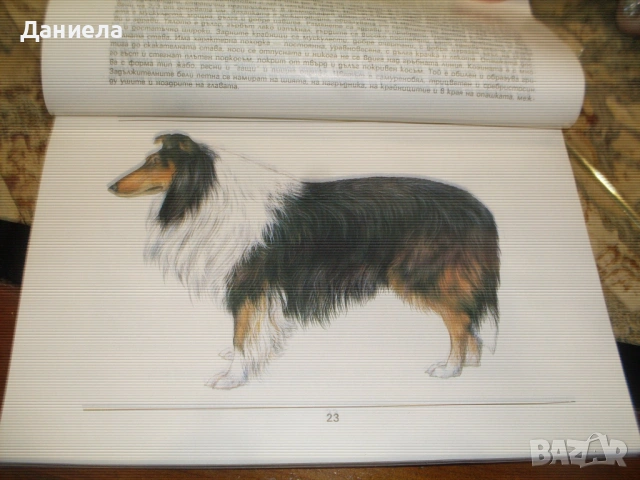 Породите кучета в България-Андрей Мицулов, снимка 5 - Специализирана литература - 48654909