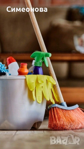 Почистване и подръжка на домове и дворове , снимка 3 - Хигиенисти и миячи - 53954902