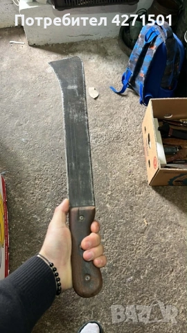 Маче Немски , снимка 3 - Други услуги - 53933861