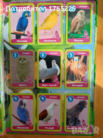 Детска енциклопедия+албум с карти, снимка 6 - Енциклопедии, справочници - 52596381