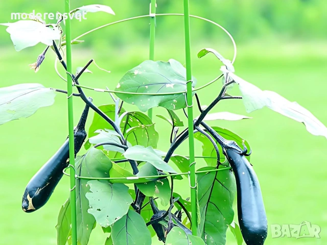 Подпора за растения с цветен пръстен, кръгла стабилна стълба, снимка 5 - Декорация за дома - 53799899