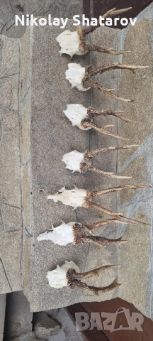 Трофеи от съръндак 