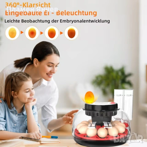 Автоматичен инкубатор за яйца за 12 яйца , снимка 4 - За птици - 53890024