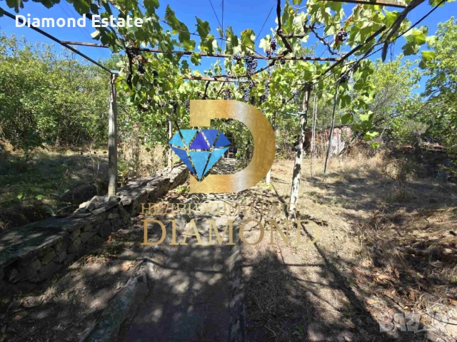 Двуетажна къща в село Ябълково, общ. Димитровград, снимка 8 - Къщи - 51508282