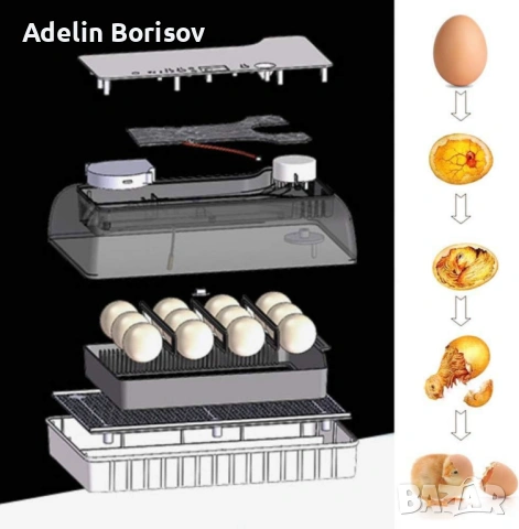 Автоматичен инкубатор за 12 яйца – Лесен за употреба YZ9-12, снимка 6 - Други - 53606247