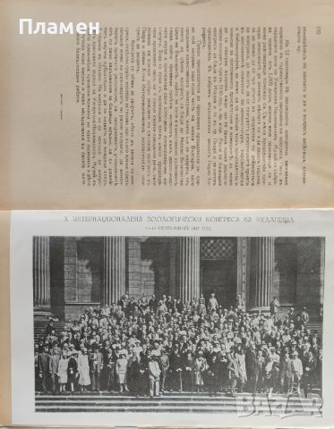 Известия на българското ентомологично дружество. Книга 4 /1927/, снимка 2 - Антикварни и старинни предмети - 45573710