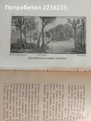 "Създанието, или Библейската козмология вь виделината на сегашната наука" , снимка 4 - Специализирана литература - 47089624