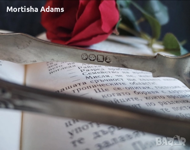 Щипка за лед, снимка 3 - Прибори за хранене, готвене и сервиране - 52477344