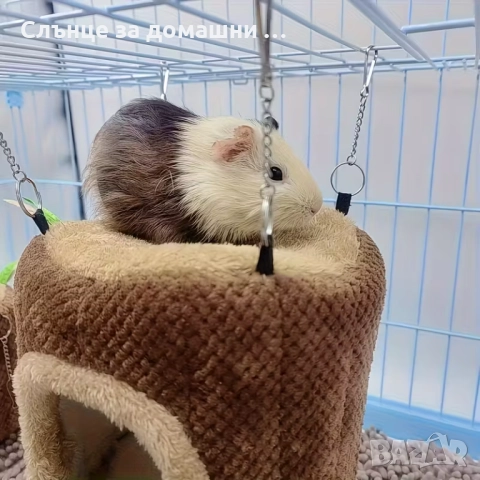 Къщичка за гризачи., снимка 4 - За гризачи - 52420541