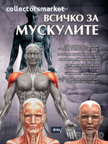 Всичко за мускулите, снимка 1 - Специализирана литература - 45852197