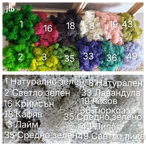 Скандинавски мъх за живи стени, пана и декорации, Премиум почистен Скандинавски мъх, снимка 3 - Декорация за дома - 36784939